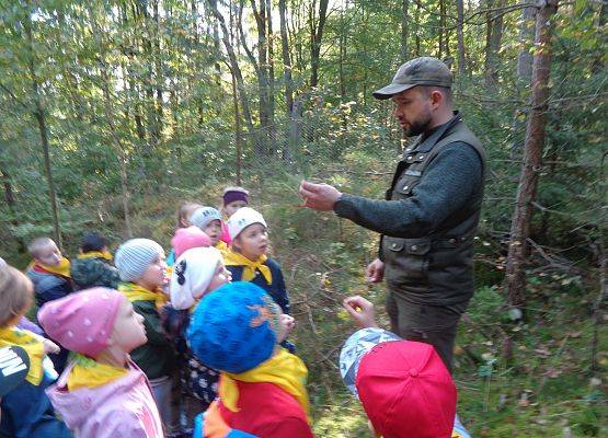 WYCIECZKA DO LASU grafika