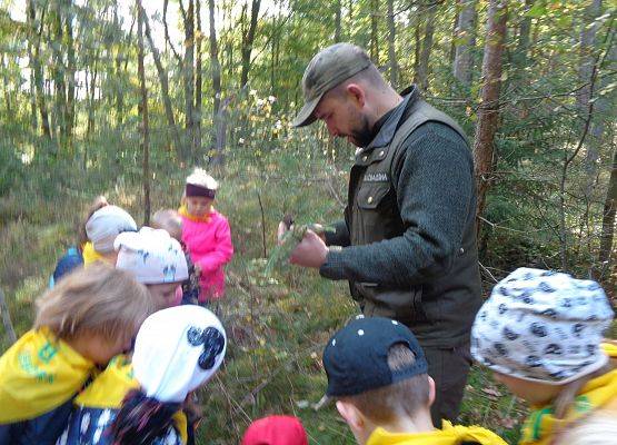 WYCIECZKA DO LASU grafika