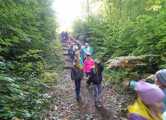 WYCIECZKA DO LASU grafika