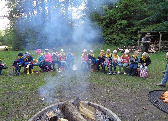 WYCIECZKA DO LASU grafika