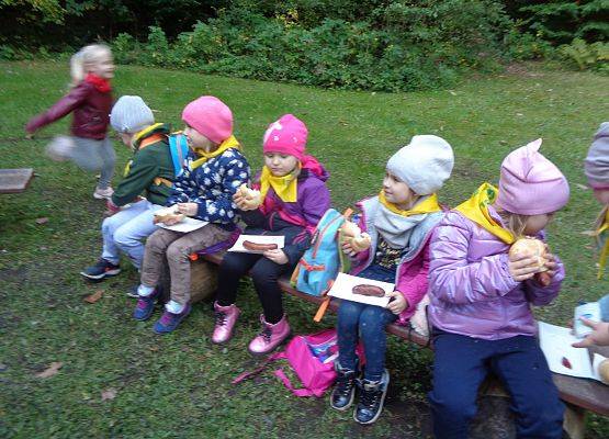 WYCIECZKA DO LASU grafika