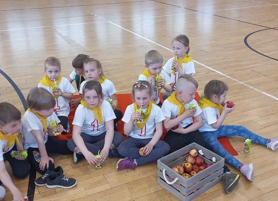 SPORTOWY PIKNIK W SZKOLE PODSTAWOWEJ NR7 grafika