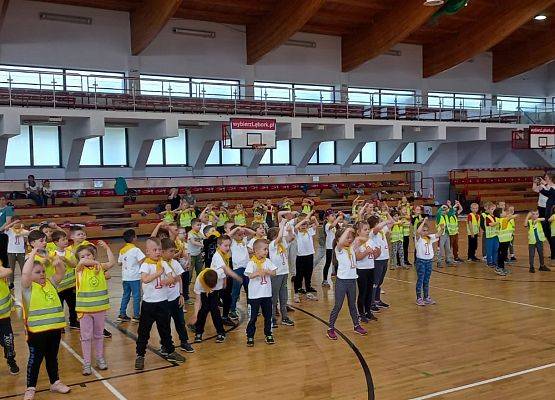 SPORTOWY PIKNIK W SZKOLE PODSTAWOWEJ NR7 grafika