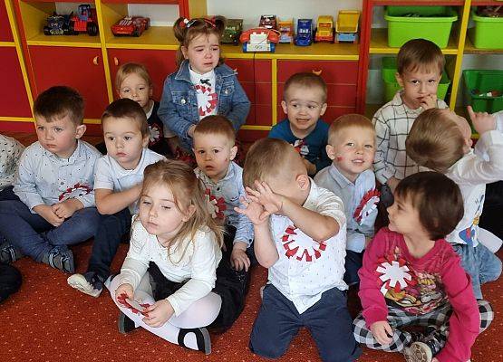 APEL  Z  OKAZJI  NARODOWEGO  ŚWIĘTA  NIEPODLEGŁOŚCI grafika