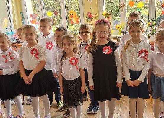 APEL  Z  OKAZJI  NARODOWEGO  ŚWIĘTA  NIEPODLEGŁOŚCI grafika
