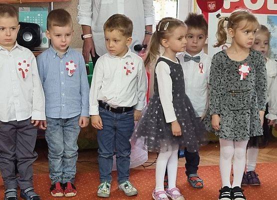 APEL  Z  OKAZJI  NARODOWEGO  ŚWIĘTA  NIEPODLEGŁOŚCI grafika