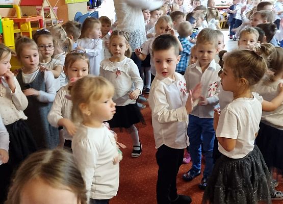 APEL  Z  OKAZJI  NARODOWEGO  ŚWIĘTA  NIEPODLEGŁOŚCI grafika