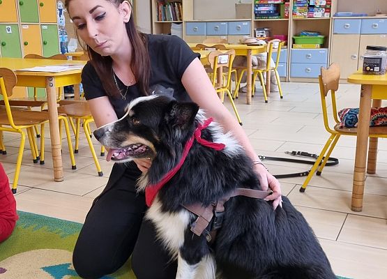 DOGOTERAPIA  U  MISIAKÓW grafika