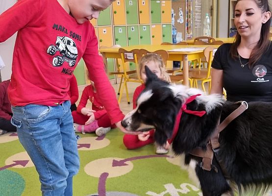 DOGOTERAPIA  U  MISIAKÓW grafika