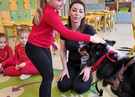 DOGOTERAPIA  U  MISIAKÓW grafika