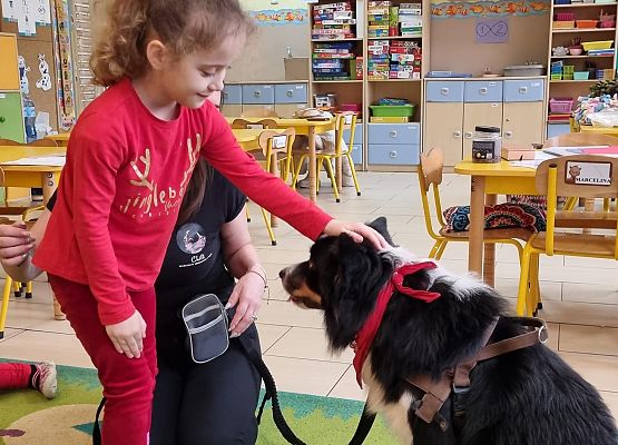 DOGOTERAPIA  U  MISIAKÓW grafika