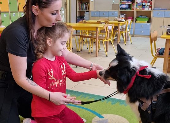 DOGOTERAPIA  U  MISIAKÓW grafika