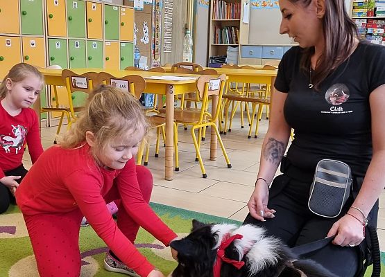 DOGOTERAPIA  U  MISIAKÓW grafika