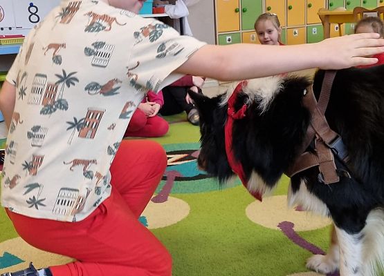 DOGOTERAPIA  U  MISIAKÓW grafika