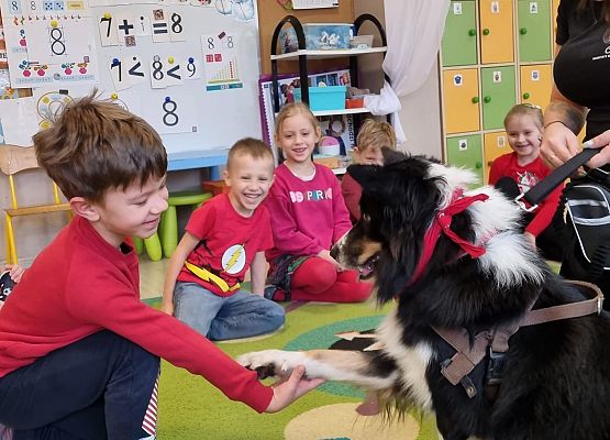 DOGOTERAPIA  U  MISIAKÓW grafika