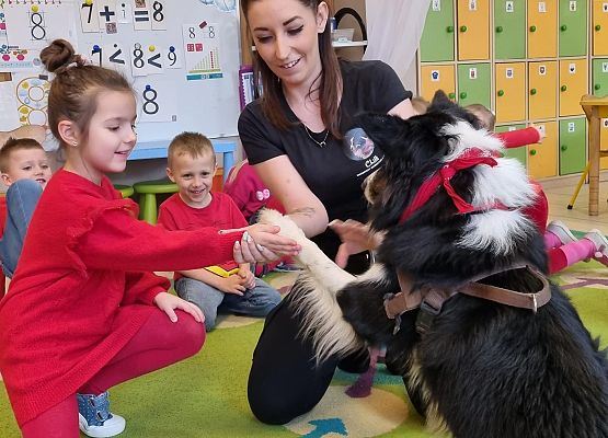 DOGOTERAPIA  U  MISIAKÓW grafika