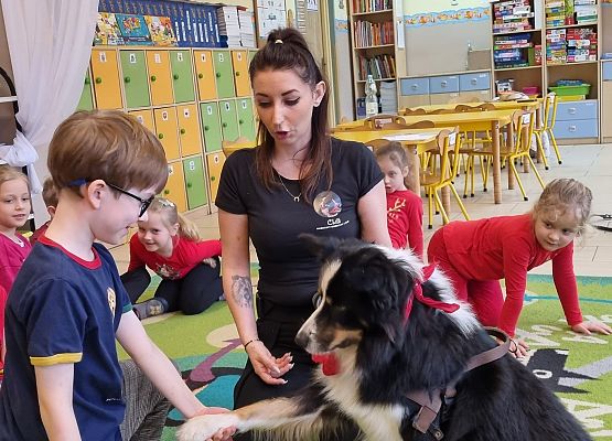 DOGOTERAPIA  U  MISIAKÓW grafika