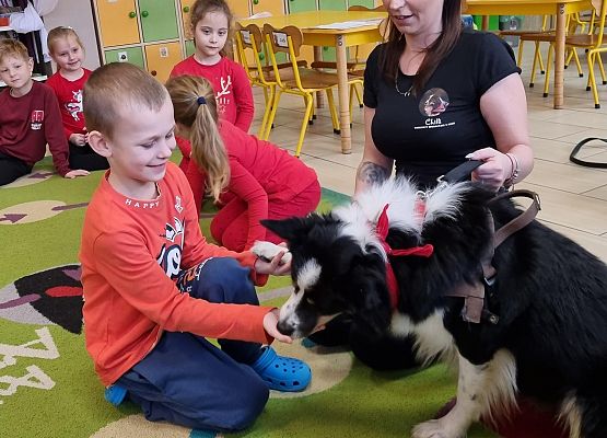 DOGOTERAPIA  U  MISIAKÓW grafika