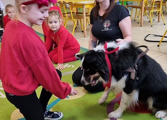 DOGOTERAPIA  U  MISIAKÓW grafika