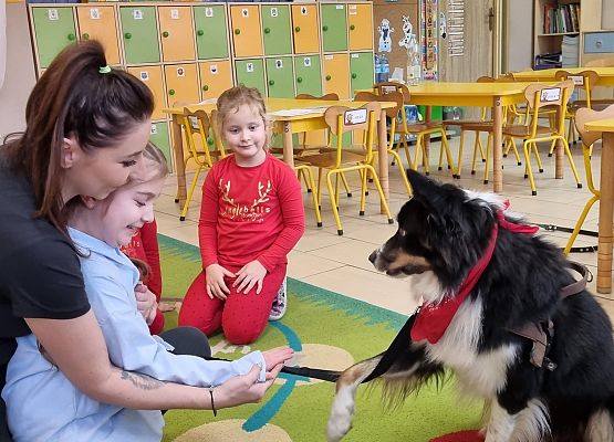 DOGOTERAPIA  U  MISIAKÓW grafika