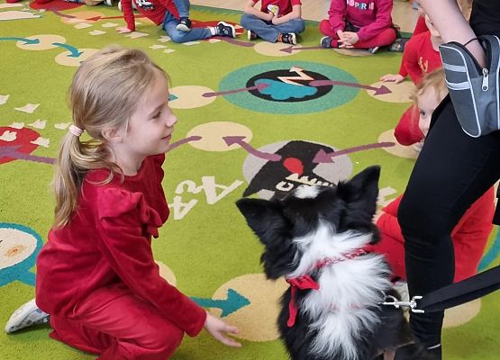 DOGOTERAPIA  U  MISIAKÓW grafika