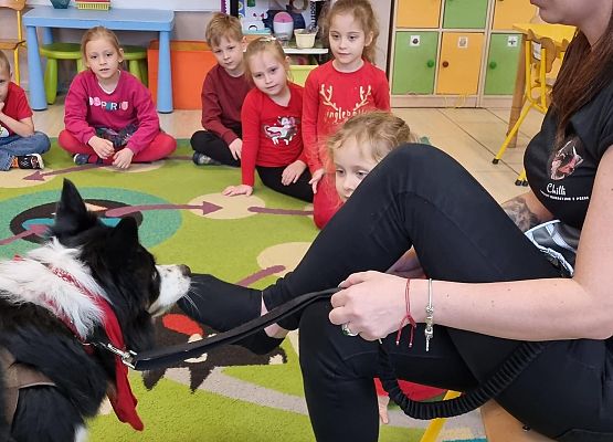 DOGOTERAPIA  U  MISIAKÓW grafika