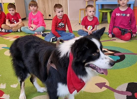 DOGOTERAPIA  U  MISIAKÓW grafika