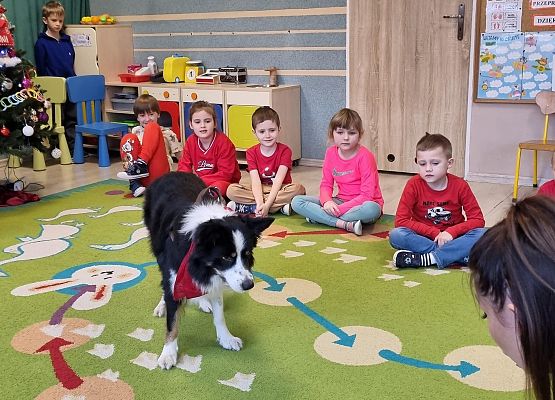 DOGOTERAPIA  U  MISIAKÓW grafika