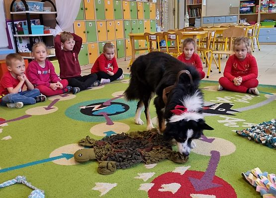 DOGOTERAPIA  U  MISIAKÓW grafika