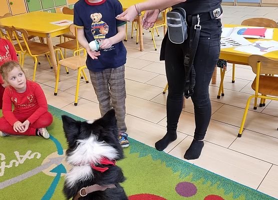 DOGOTERAPIA  U  MISIAKÓW grafika