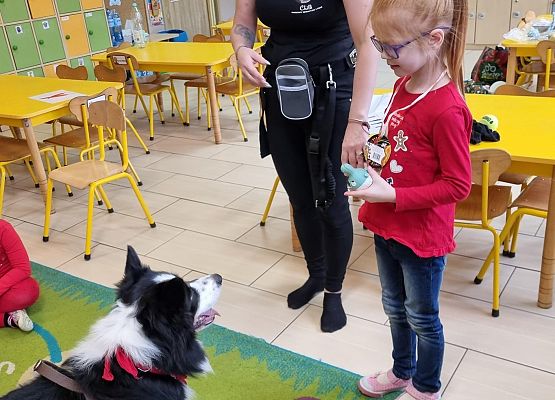 DOGOTERAPIA  U  MISIAKÓW grafika