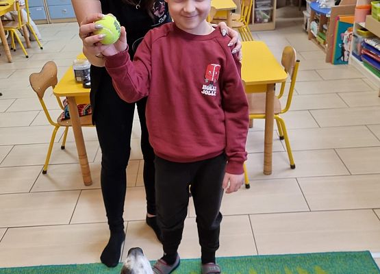 DOGOTERAPIA  U  MISIAKÓW grafika