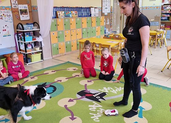 DOGOTERAPIA  U  MISIAKÓW grafika