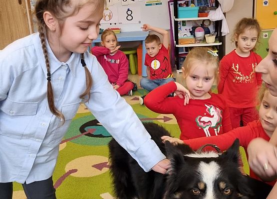 DOGOTERAPIA  U  MISIAKÓW grafika