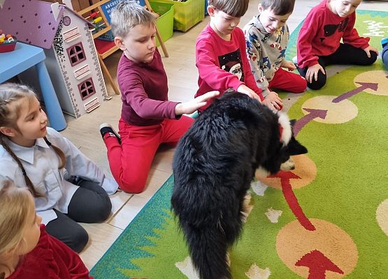 DOGOTERAPIA  U  MISIAKÓW grafika