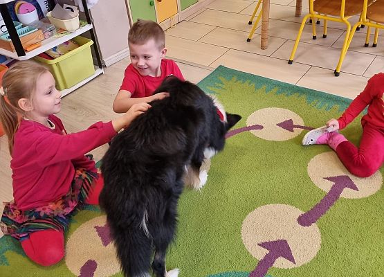 DOGOTERAPIA  U  MISIAKÓW grafika