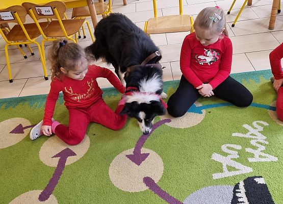 DOGOTERAPIA  U  MISIAKÓW grafika