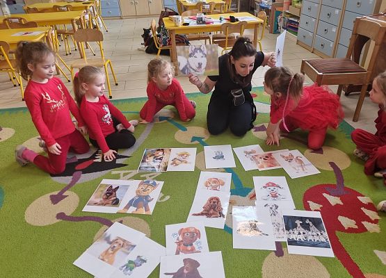 DOGOTERAPIA  U  MISIAKÓW grafika