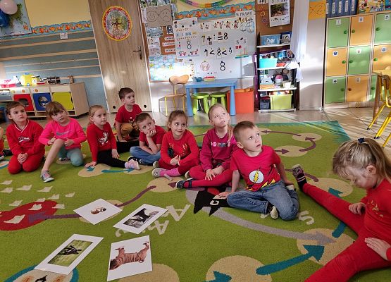 DOGOTERAPIA  U  MISIAKÓW grafika