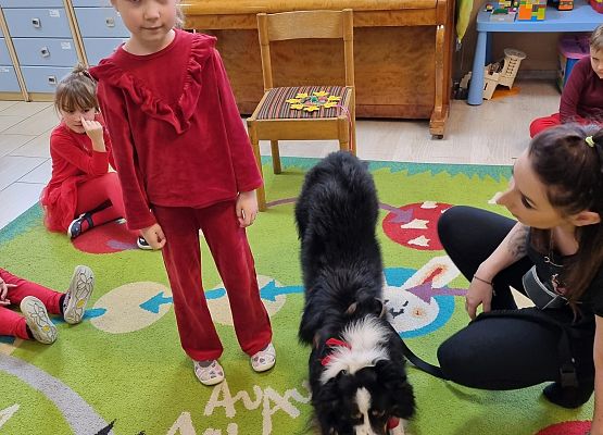 DOGOTERAPIA  U  MISIAKÓW grafika