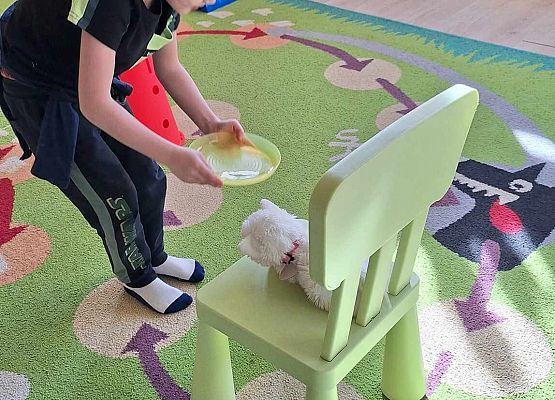 WESOŁO  OBCHODZIMY  DZIEŃ  KOTKA grafika