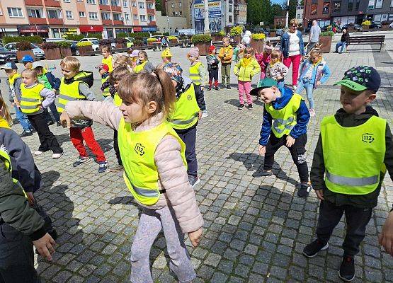 MISIAKI  NA  KOLOROWYCH  PODWÓRKACH grafika
