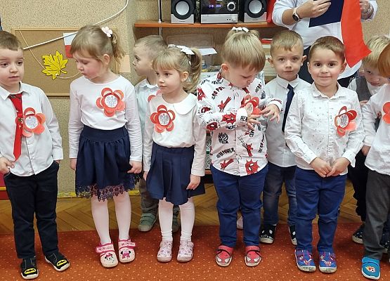 APEL Z OKAZJI NARODOWEGO ŚWIĘTA NIEPODLEGŁOŚCI grafika