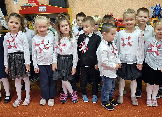 APEL Z OKAZJI NARODOWEGO ŚWIĘTA NIEPODLEGŁOŚCI grafika