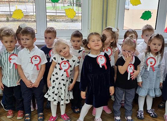 APEL Z OKAZJI NARODOWEGO ŚWIĘTA NIEPODLEGŁOŚCI grafika