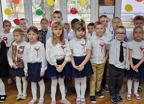 APEL Z OKAZJI NARODOWEGO ŚWIĘTA NIEPODLEGŁOŚCI grafika