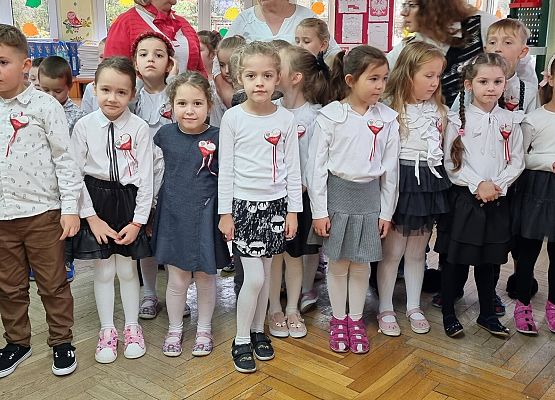 APEL Z OKAZJI NARODOWEGO ŚWIĘTA NIEPODLEGŁOŚCI grafika