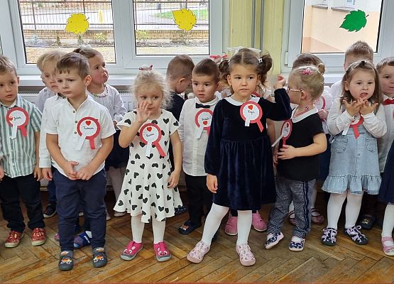 APEL Z OKAZJI NARODOWEGO ŚWIĘTA NIEPODLEGŁOŚCI grafika