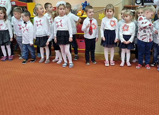 APEL Z OKAZJI NARODOWEGO ŚWIĘTA NIEPODLEGŁOŚCI grafika