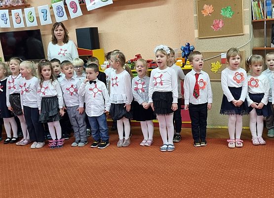 APEL Z OKAZJI NARODOWEGO ŚWIĘTA NIEPODLEGŁOŚCI grafika